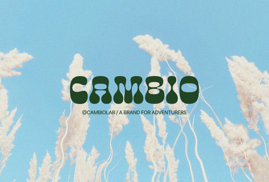 Cambio Brand Image